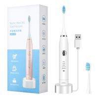 2 Heads Sonic Electric Toothbrush Teeth Clean Tool Soft Hair Tartar Plaque Calculus Remover Oral Hygiene Care Battery Power