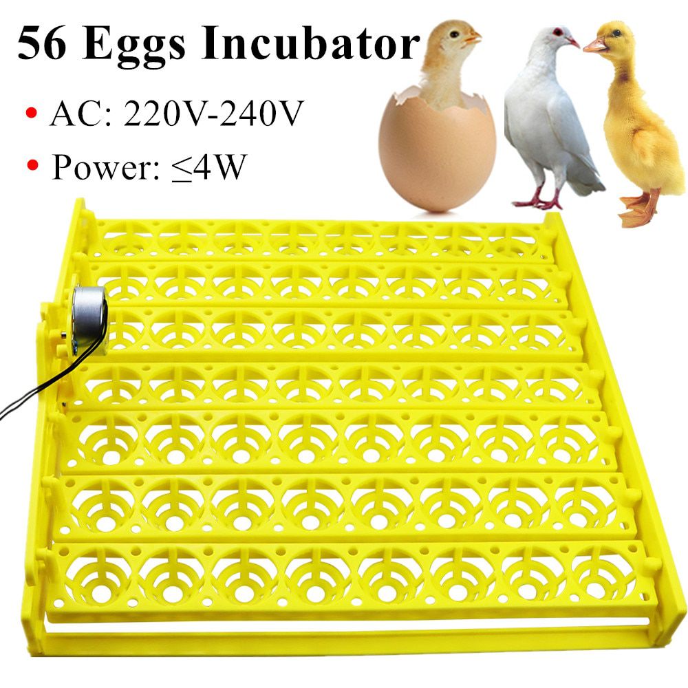 56 Eggs Incubator Eggs Automatic Incubator Incubator motor Turn Tray Poultry Incubation Equipment Farm poultry Hatching device