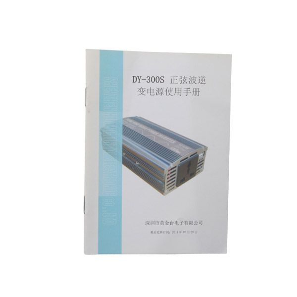 DY-300S 300W  Power Inverter