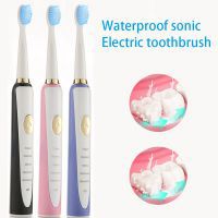 Electric Toothbrush Powerful Sonic Cleaning Rechargeable Waterproof Toothbrush For Man Women Home Use Devices Health Care