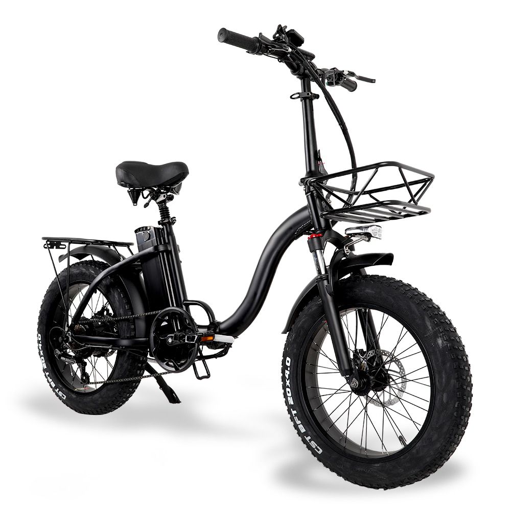 Y20 Folding E-bike Snow Bike, 750W Motor, 48V 15A/20A/24A Battery, 20 Inch Mountain Bike Fat Bike, Pedal Assist Bike with Basket