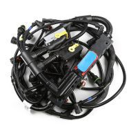 OEM P22041555 Truck Electric Part Engine Wiring Harness Truck Heavy Duty Engine Wire Harness Cable for Volvo