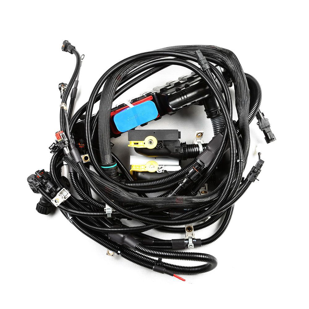 OEM Member P22120536 Truck Electric Wiring Harness Truck Engine Wire Harness Cable Truck Cable Harness for Volvo F11