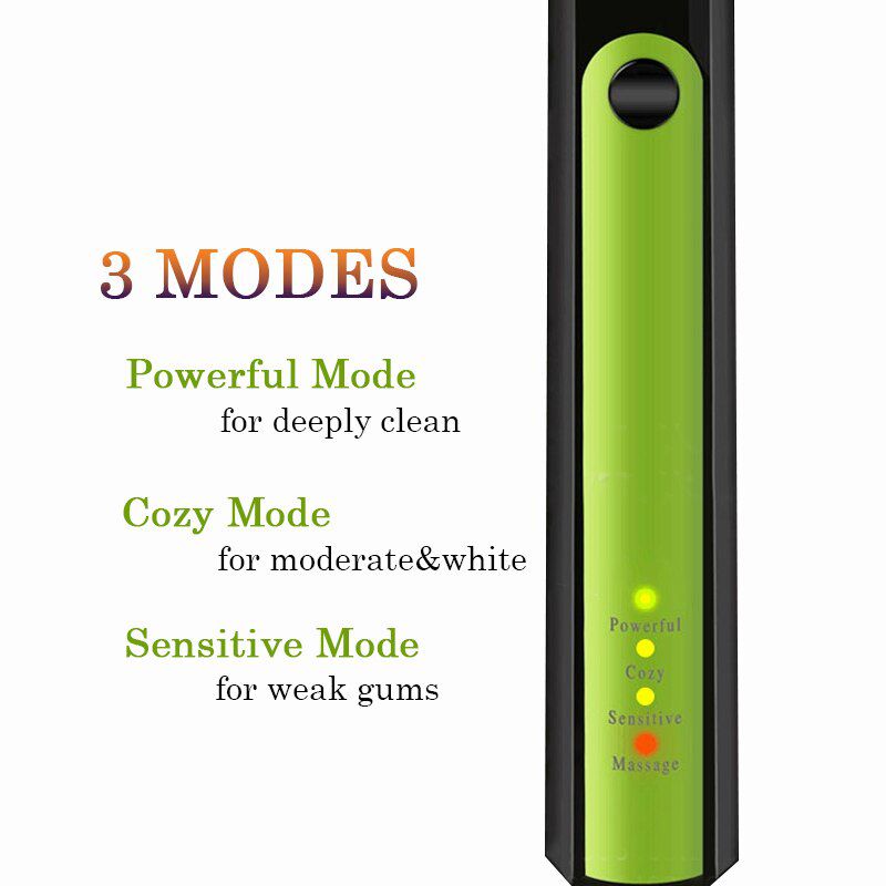 New Pro Sonic Electric Toothbrush Rechargeable 100-240v Charge 3pcs Replaceable Head Timer Teeth Tooth Brush Waterproof