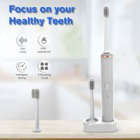 Sonic Electric Toothbrush Ultrasonic Automatic Upgraded USB Rechargeable Fast chargeable Adult Waterproof Tooth Brush