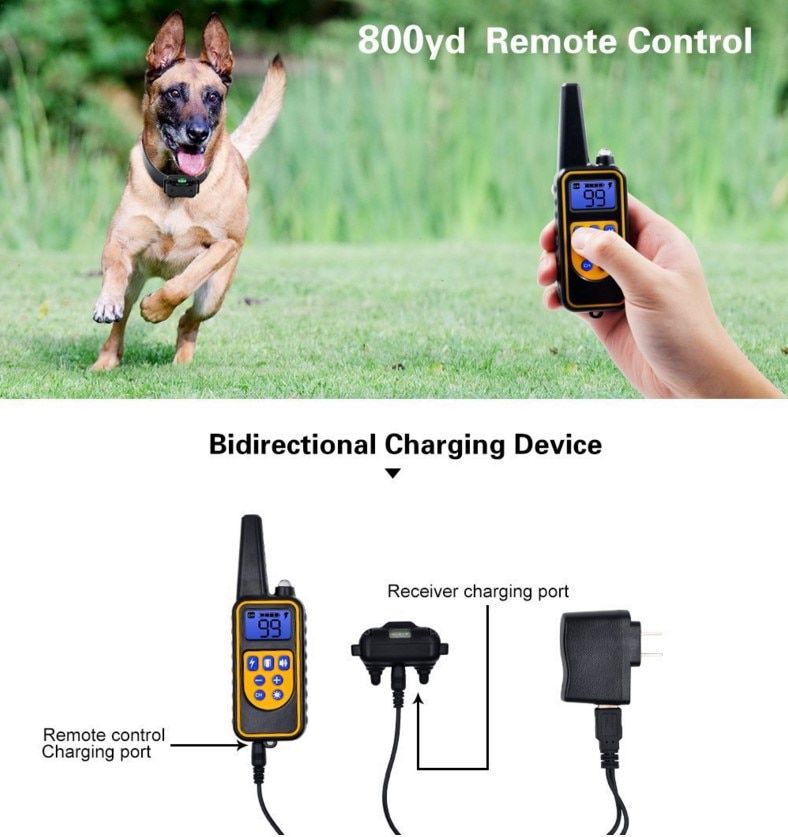 800m Pet Remote Control Dog Training Collar Waterproof R