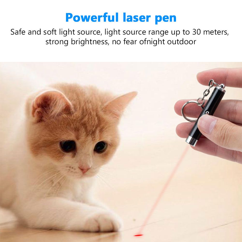 2-In-1 Cat Pet Toy Red Laser 