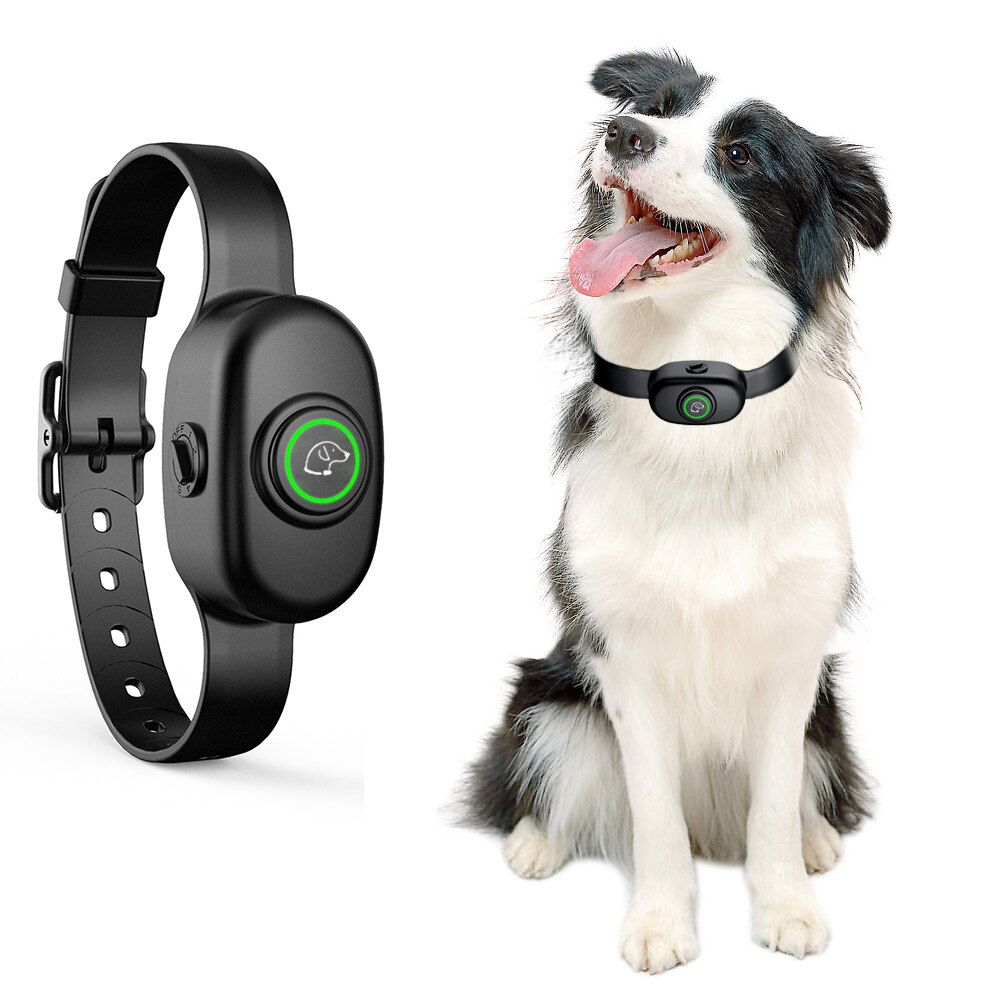 Dog Training Collar Waterproof Dog Electric Collar USB R