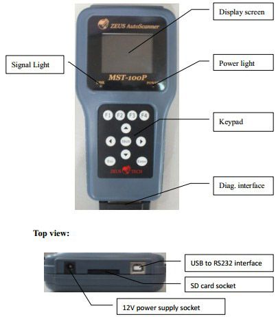 mst 100p