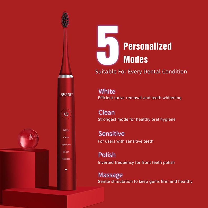 Sonic Electric Toothbrush Rechargeable Electronic Tooth 