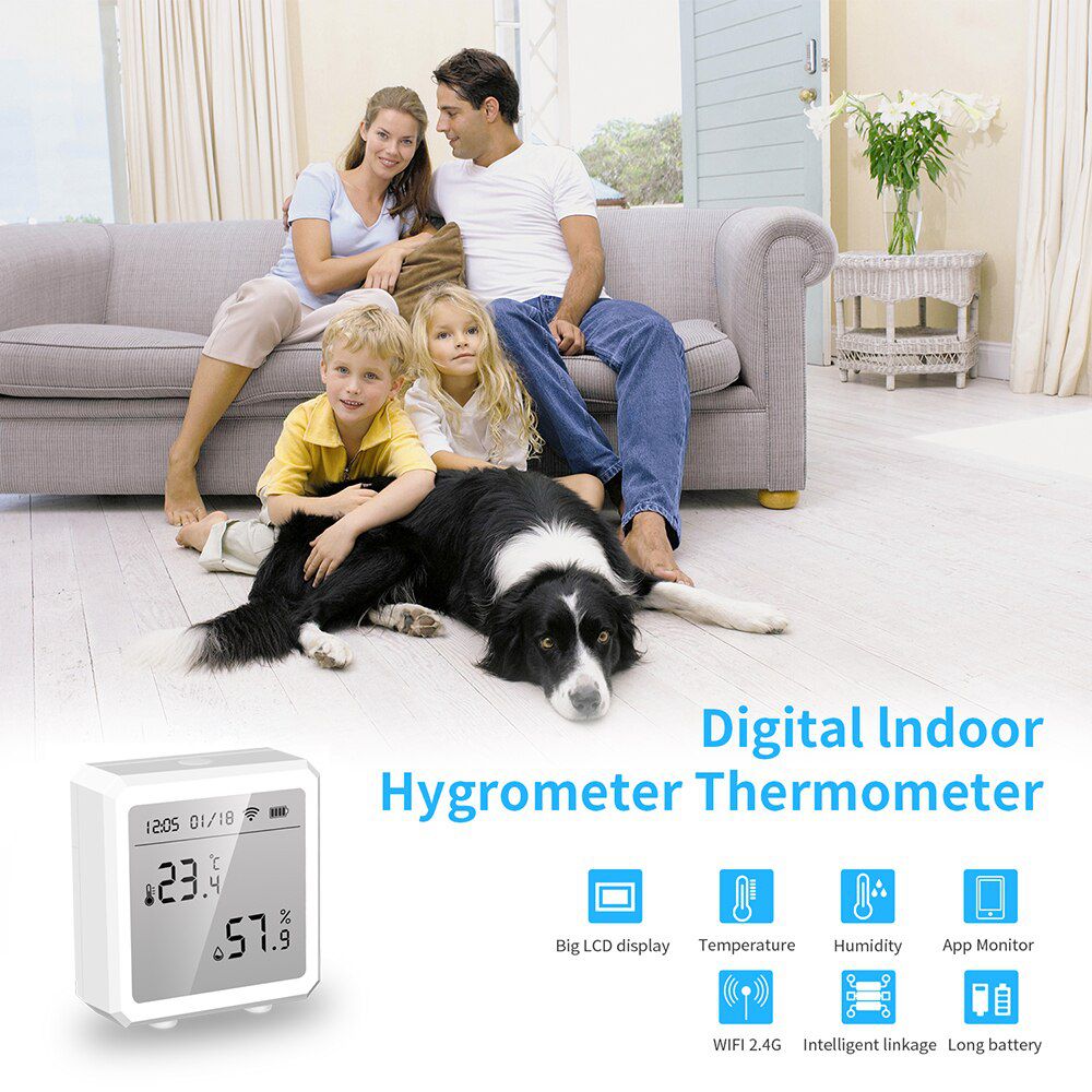 WIFI Temperature And Humidity Sensor Indoor Hygrometer