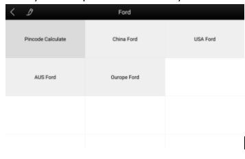  the regional market for X100C